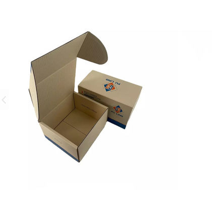 Matt Lamination Phụ tùng ô tô Hộp đóng gói / Hộp đóng gói Thùng sóng SGS