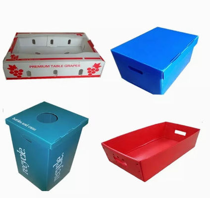 Hộp nhựa trái cây 2400x1200 2440x1220