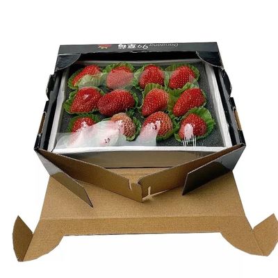 Giấy nghệ thuật C1S Hộp các tông sóng dâu Matt Lamination