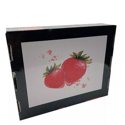 Giấy nghệ thuật C1S Hộp các tông sóng dâu Matt Lamination