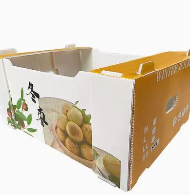 Hộp bao bì trái cây bằng nhựa PP Hộp doanh thu tấm rỗng Chống tĩnh điện