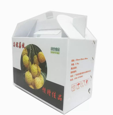 Hộp trái cây và rau bằng nhựa PP có thể tái sử dụng tùy chỉnh