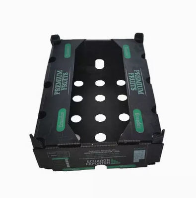 Chiều rộng 2200mm Hộp đóng gói trái cây Hộp nhựa đóng gói trái cây Polypropylene