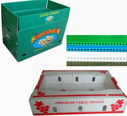 Hộp nhựa trái cây 2400x1200 2440x1220