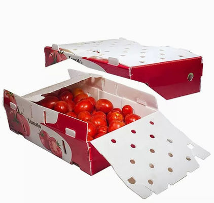 Rau Trái cây Bao bì Hộp Tấm nhựa Bảo vệ Tĩnh điện