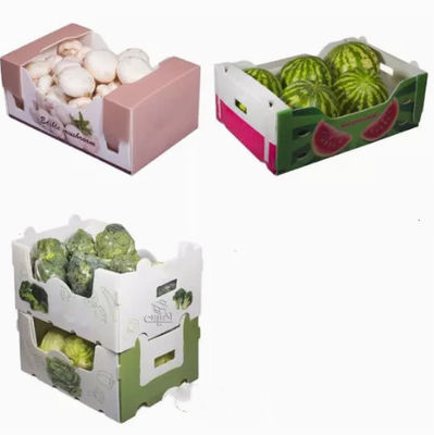 Rau Trái cây Bao bì Hộp Tấm nhựa Bảo vệ Tĩnh điện